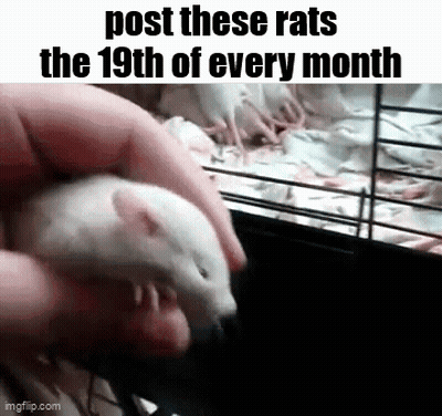 A Person Is Holding A Rat In Their Hand And A Cage Of Rats Is Behind Them . GIF