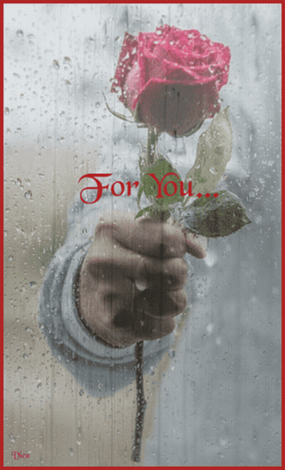 A Person Is Holding A Rose In Front Of A Window With The Words For You Written On It GIF