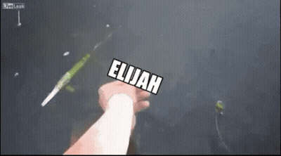 A Person Is Holding A Sign That Says Cfgbc Elijah GIF