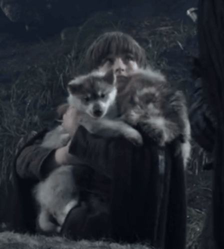 A Person Is Holding A Small Dog In Their Arms GIF