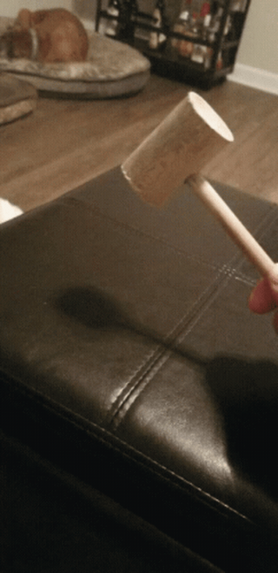 A Person Is Holding A Small Wooden Mallet In Front Of A Dog GIF