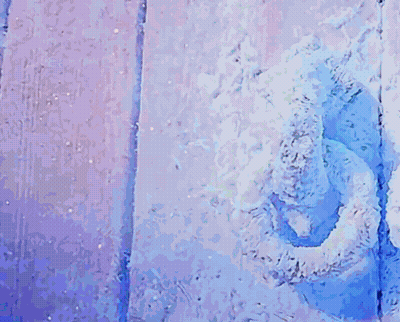A Person Is Holding A Snake With Yellow Eyes And A Cat Laying On Top Of It . GIF