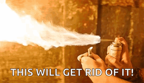 A Person Is Holding A Spray Can With The Words " This Will Get Rid Of It " Written Below It GIF