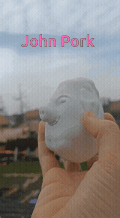 A Person Is Holding A Statue Of A Pig With The Name John Pork On The Top GIF