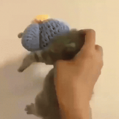 A Person Is Holding A Stuffed Animal In Their Hand GIF