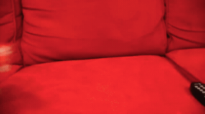 A Person Is Holding A Stuffed Animal On A Red Couch Next To A Remote Control GIF