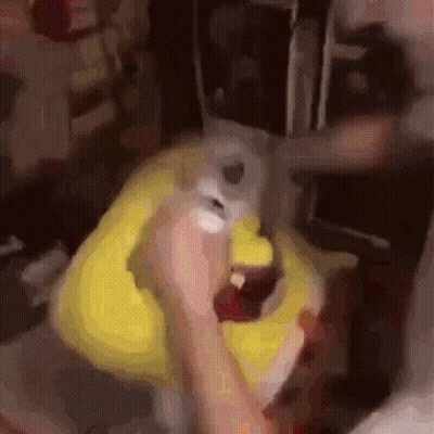 A Person Is Holding A Stuffed Animal That Looks Like A Spongebob Character . GIF