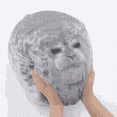 A Person Is Holding A Stuffed Seal With Their Hands On Its Head . GIF