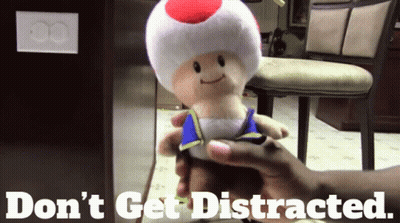 A Person Is Holding A Stuffed Toad With The Words " Do N't Get Distracted " Written Below It GIF