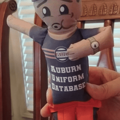 A Person Is Holding A Stuffed Toy That Has Auburn Uniform Database On It GIF