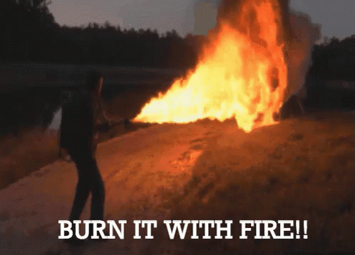 A Person Is Holding A Torch In Front Of A Large Fire And The Words Burn It With Fire GIF
