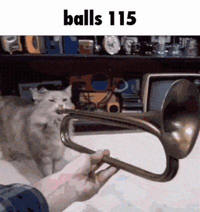 A Person Is Holding A Trumpet In Front Of A Cat With The Words Balls 115 Written On The Bottom GIF