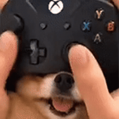 A Person Is Holding A Video Game Controller Over A Dog 'S Head . GIF