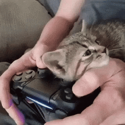 A Person Is Holding A Video Game Controller With A Kitten Laying On Top Of It . GIF