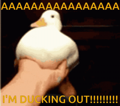 A Person Is Holding A White Duck With The Words I 'M Ducking Out Written Below It GIF