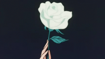 A Person Is Holding A White Rose With Green Leaves . GIF