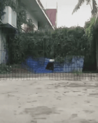A Person Is Jumping Over A Tennis Net In Front Of A House GIF