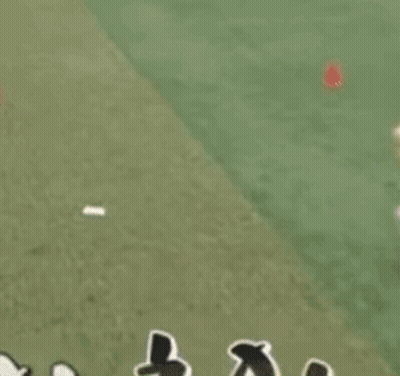 A Person Is Kneeling Down On The Grass While Playing A Game Of Cricket . GIF