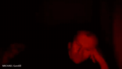 A Person Is Laying On A Bed In A Dark Room With A Red Light Coming Out Of The Corner . GIF