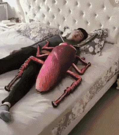 A Person Is Laying On A Bed With A Cockroach Pillow On Their Stomach . GIF