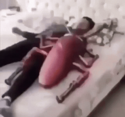 A Person Is Laying On A Bed With A Toy Cockroach On Their Back . GIF