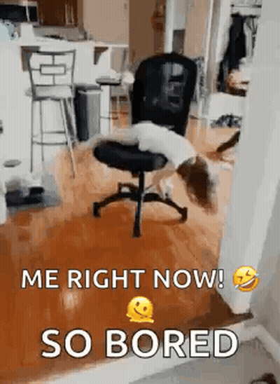 A Person Is Laying On A Chair In A Room With The Words `` Me Right Now ! So Bored '' . GIF