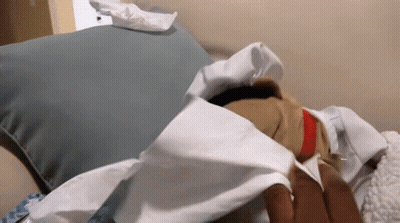A Person Is Laying On A Couch With A Pillow And Tissues GIF