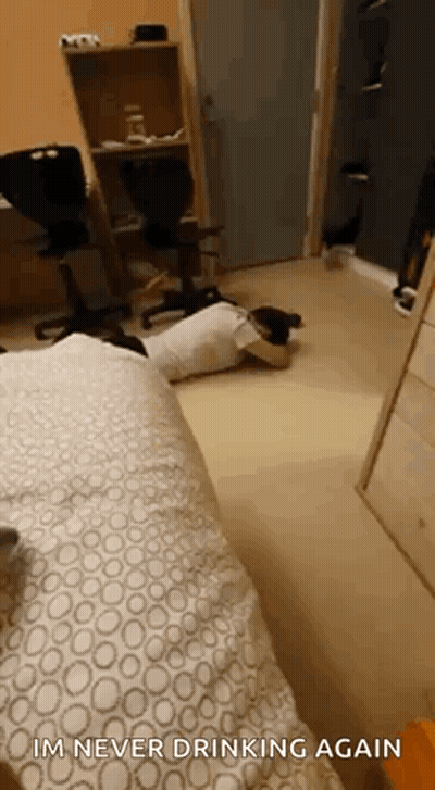 A Person Is Laying On The Floor In A Room With The Words `` Im Never Drinking Again '' Written On The Bottom . GIF