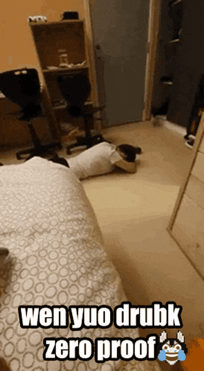 A Person Is Laying On The Floor With The Words Wen Yuo Drubk Zero Proof GIF
