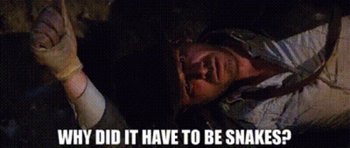 A Person Is Laying On The Ground With The Words Why Did It Have To Be Snakes On The Bottom GIF