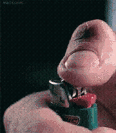 A Person Is Lighting A Bic Lighter In Their Hand . GIF