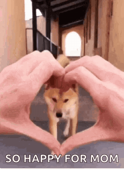 A Person Is Making A Heart Shape With Their Hands And A Dog Is Behind Them . GIF