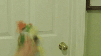 A Person Is Opening A Door With A Bottle Of Toothpaste On It . GIF