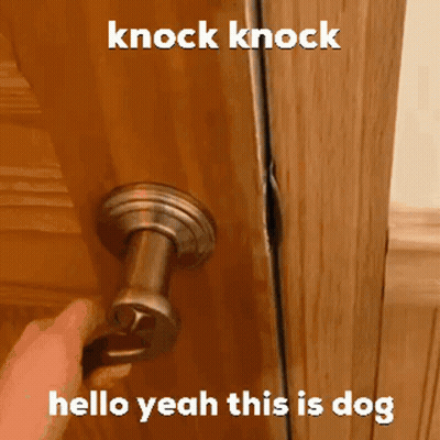 A Person Is Opening A Door With A Knock Knock Hello Yeah This Is Dog . GIF