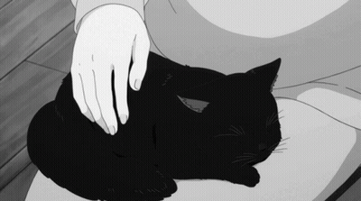 A Person Is Petting A Black Cat On Their Lap GIF