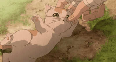 A Person Is Petting A Cat That Is Laying On Its Back In The Grass . GIF