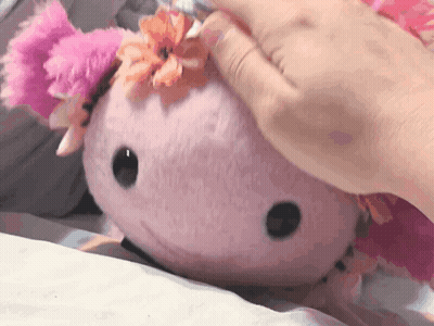 A Person Is Petting A Stuffed Animal With A Flower On Its Head GIF