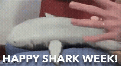 A Person Is Petting A Stuffed Shark With The Words `` Happy Shark Week '' . GIF