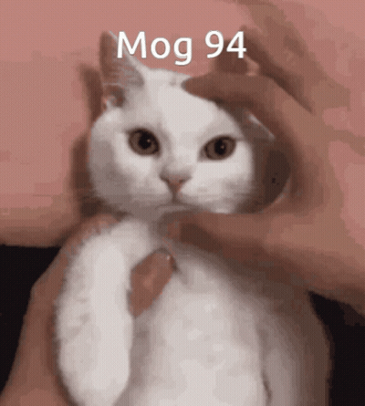 A Person Is Petting A White Cat With The Words Mog 94 Written On It GIF