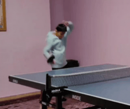 A Person Is Playing Ping Pong On An Inside Table GIF