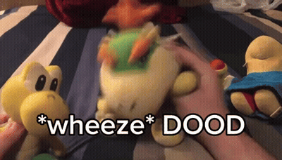 A Person Is Playing With A Stuffed Animal That Says " Wheeze Dood " On It GIF