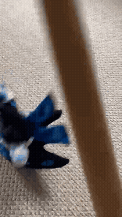 A Person Is Playing With A Toy On The Floor GIF