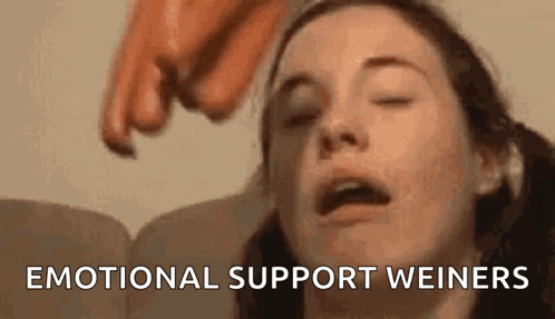 A Person Is Pointing At A Woman 'S Face With The Words `` Emotional Support Weiners '' Written On The Bottom . GIF
