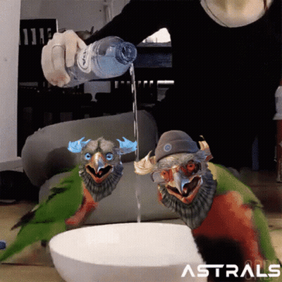 A Person Is Pouring Water Into A Bowl With Two Birds In It And The Word Astrals On The Bottom GIF
