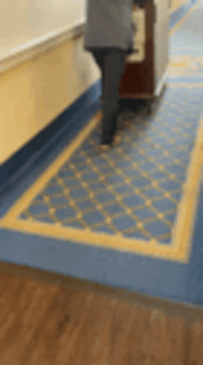 A Person Is Pushing A Cart Down A Hallway With A Blue And Yellow Rug GIF