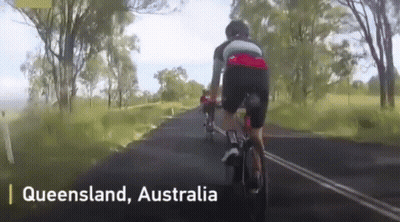 A Person Is Riding A Bike Down A Country Road In Queensland Australia GIF