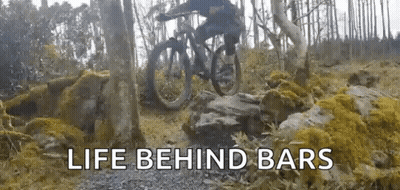 A Person Is Riding A Bike Down A Rocky Trail In The Woods . GIF