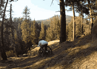 A Person Is Riding A Bike On A Trail In The Woods GIF