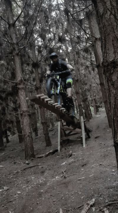 A Person Is Riding A Bike On A Wooden Ramp In The Woods GIF