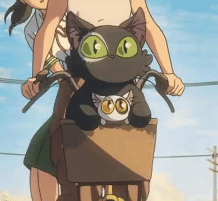 A Person Is Riding A Bike With A Black Cat In The Basket . GIF